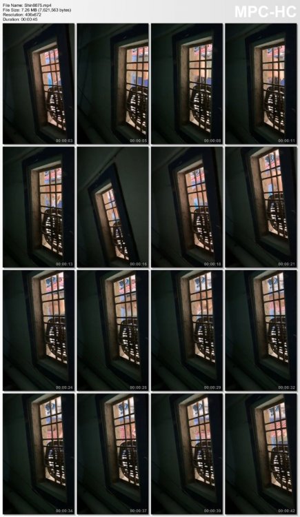 Shin8875.mp4_thumbs_[2021.04.02_20.19.22].jpg