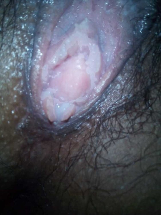 IMG4.jpg