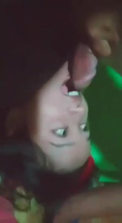 979411.jpg